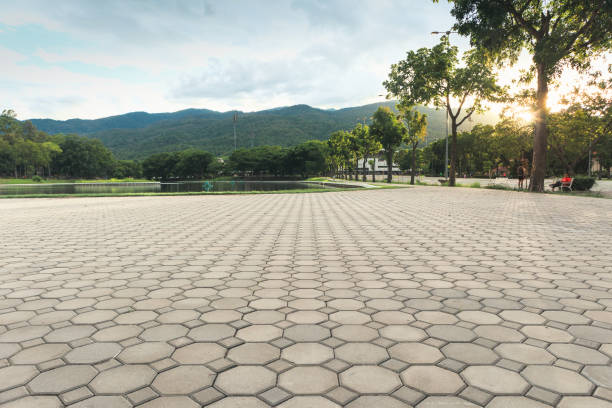 Navy Yard City, WA Driveway Pavers Company